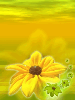 Kwiaty - słonecznik iskierka.gif