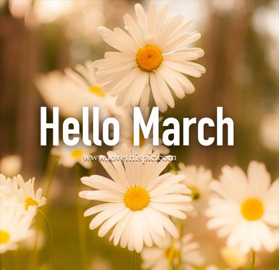 HELLO MARCH - 368365-Daisy-Hello-March-Quote.png
